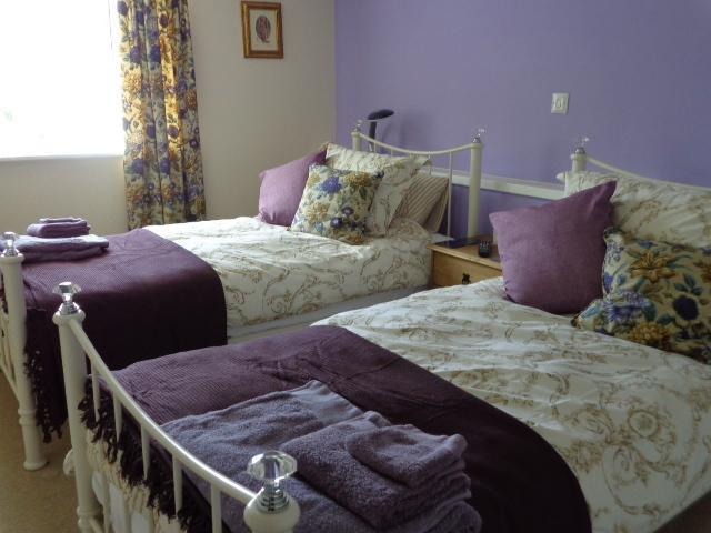 Lodge House B&B Buckland St Mary Quarto foto